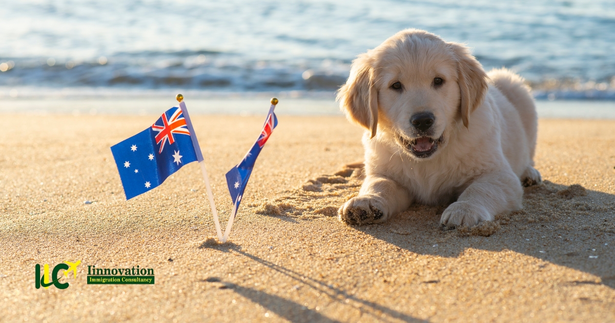 Top Australia Study Visa Consultant in Chandigarh